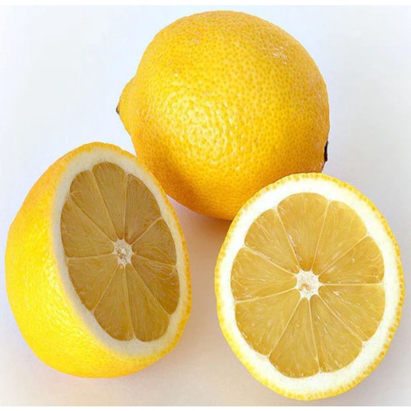 

BUAH JERUK LEMON IMPORT PREMIUM AUSTRALIAN FRESH