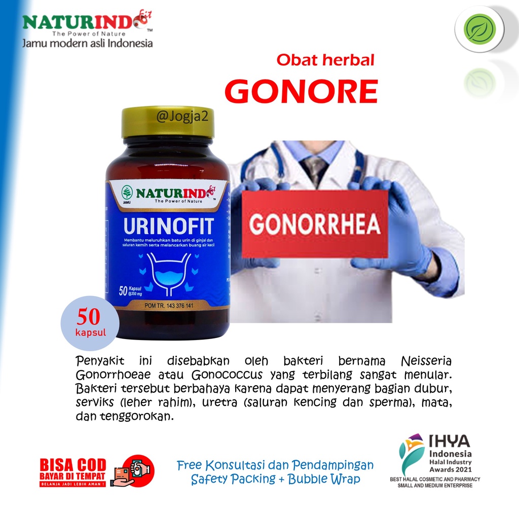 Urinofit Obat Herbal Gonore Ampuh Kencing Nanah Sipilis Urinofit Naturindo