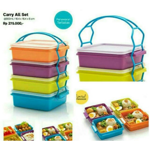 Carry all set tupperware