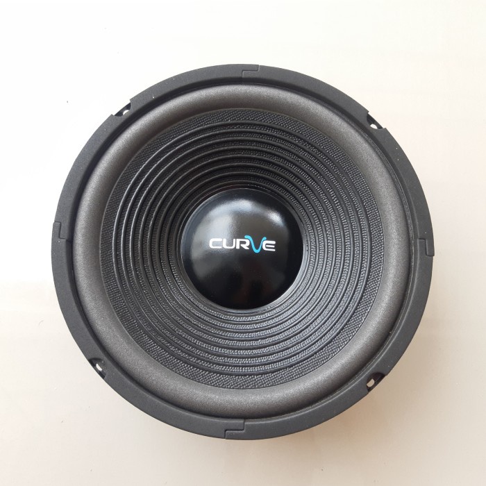 Speaker Speaker 10 Inch Woofer Curve 300 Watt