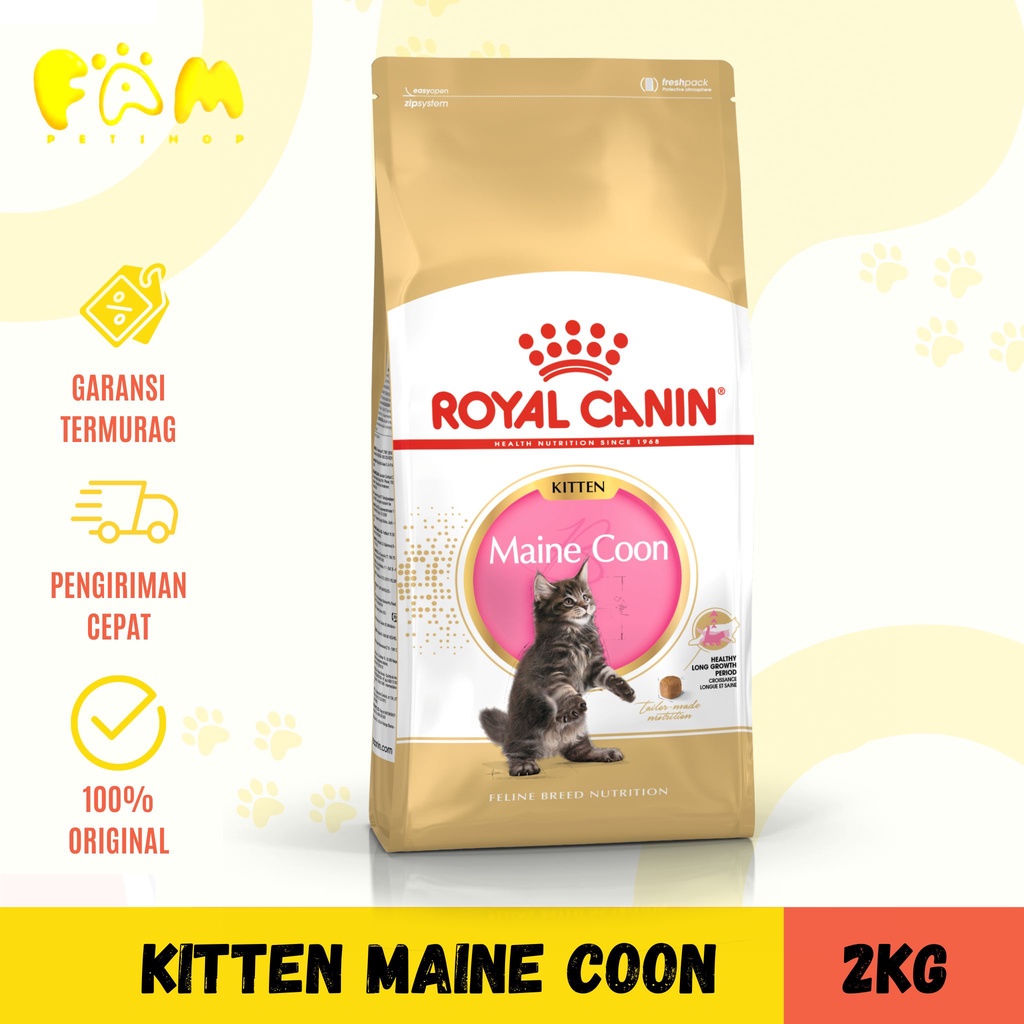 Royal Canin Maine Coon Kitten 2Kg - Makanan Kucing