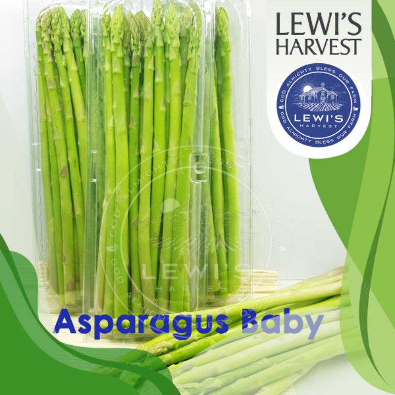 

Baby Asparagus Segar 250gr - Baby Asparagus Fresh 250gr