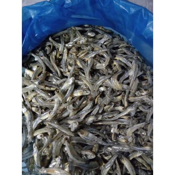 

Ikan Teri Kacang Fresh Medan 250 gr / 500 gr / 1000 gr