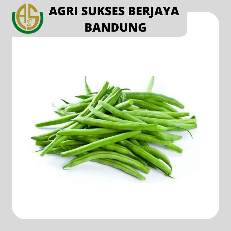 

Buncis Conventional