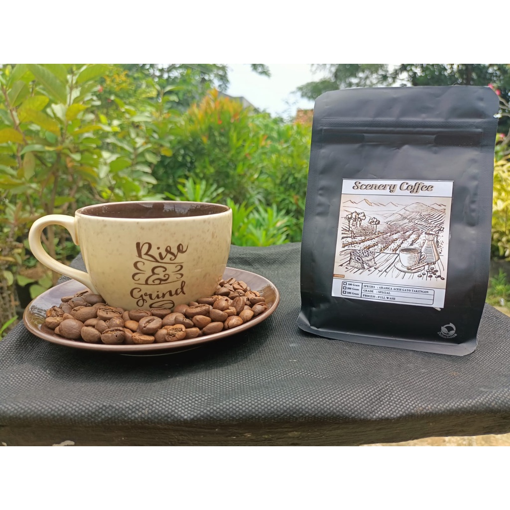 

KOPI ARABIKA ACEH GAYO TAKENGON 100 GRAM SPECIALITY GRADE