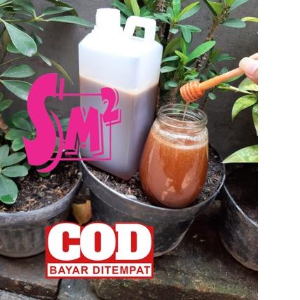

✳ [PROMO ] sialang sumatera (kampar) netto 1 kg hutan sialang ❀