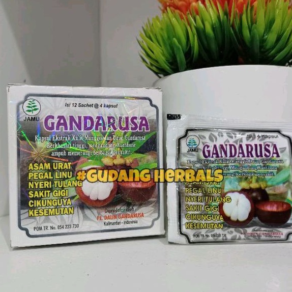 Kapsul Asam urat Pegalinu Gandarusa Kapsul Original100%