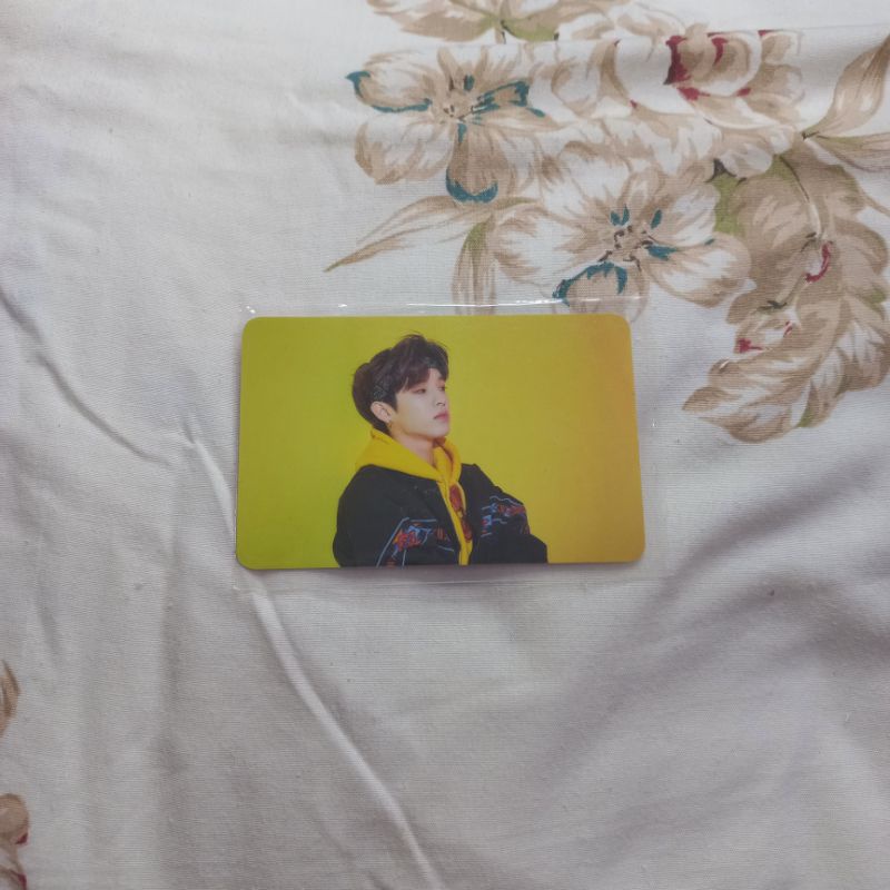 Photocard Pc Day6 Youth Encore