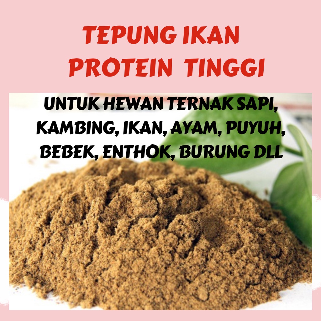 50KG TEPUNG IKAN PROTEIN TINGGI