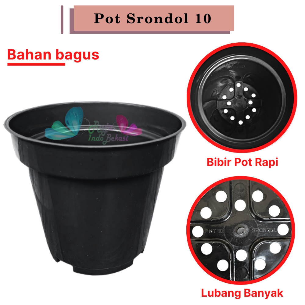 Pot 10cm Hitam Murah - Pot Bulat Mini Kecil Bisa Untuk Vas Bunga Pot 10 cm Hitam Polos Pot Tawon 10