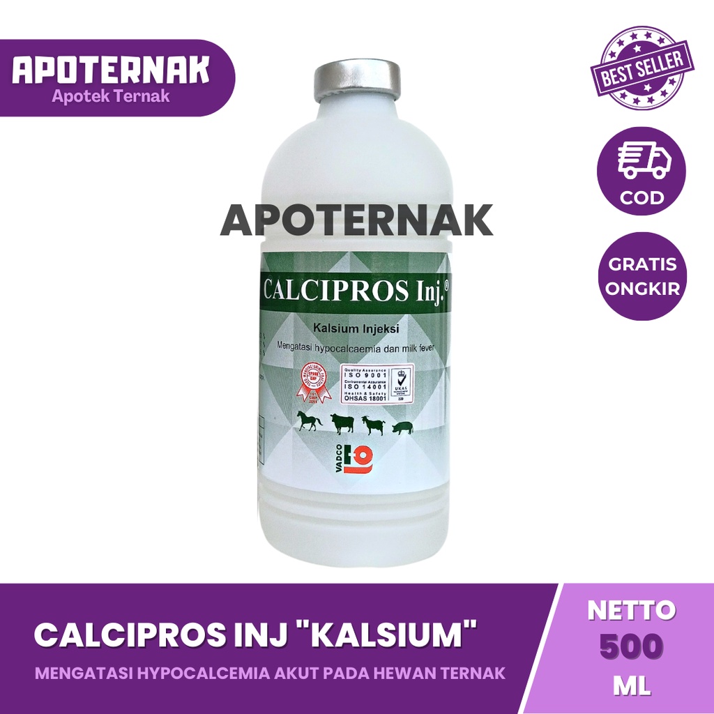 CALCIPROS INJ 500 ml | Kalsium Infus Untuk HYPOCALCEMIA atau Kekurangan Kalsium Ternak Sapi Kambing | Seperti Calsidex Calcidex