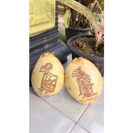 

kelapa gading + ukiran wayang