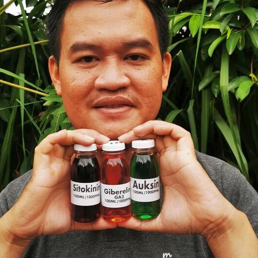 ۞ Paket Hormon Tanaman Auksin Giberelin Sitokinin 300ml ✽