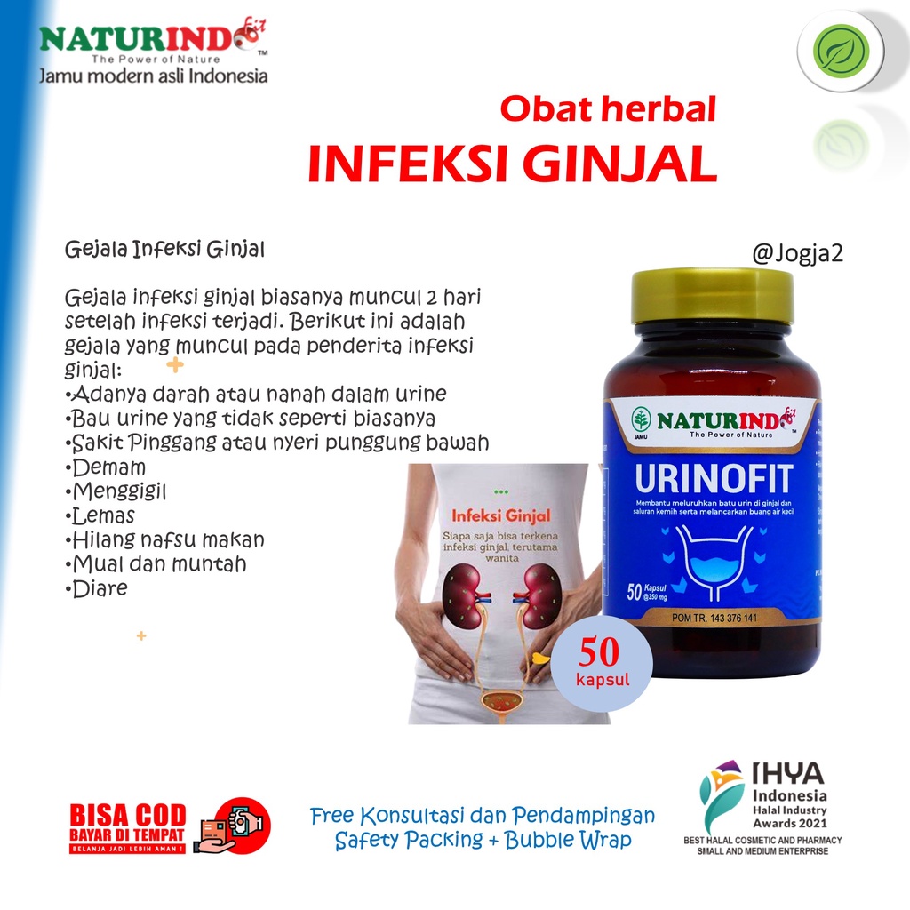 Urinofit Obat Herbal Infeksi Ginjal Sakit Perawatan Ginjal Urinofit Naturindo