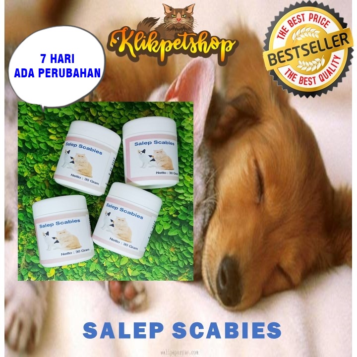 Salep Scabies Khusus Kucing Anjing Jamur Koreng Gudig 30 gram