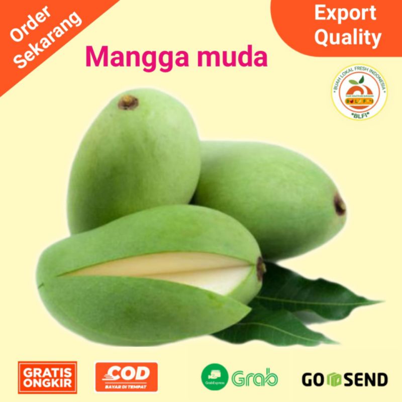 

BUAH MANGGA MUDA MANGGA UNTUK RUJAKAN 1KG