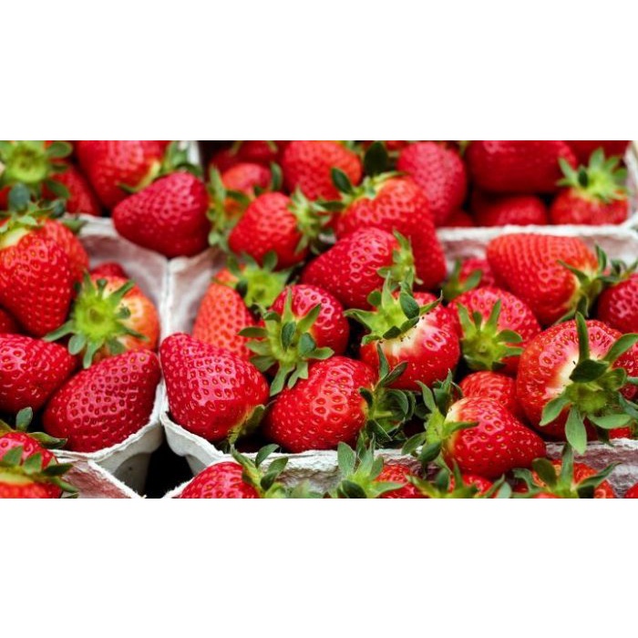 Buah Strawberry Fresh Grade AB Kemasan 250 gr (Khusus Gosend)