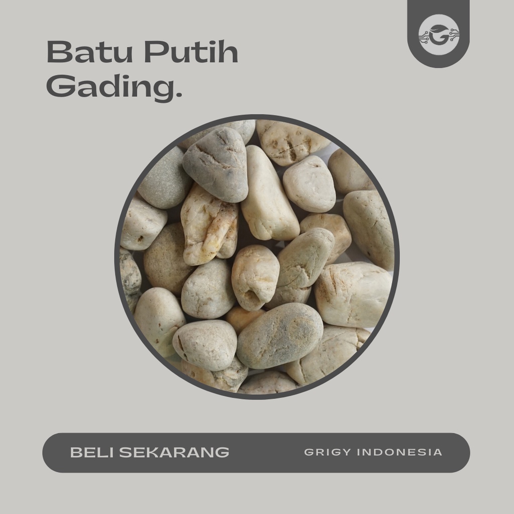 BATU KORAL PUTIH GADING 10 KG