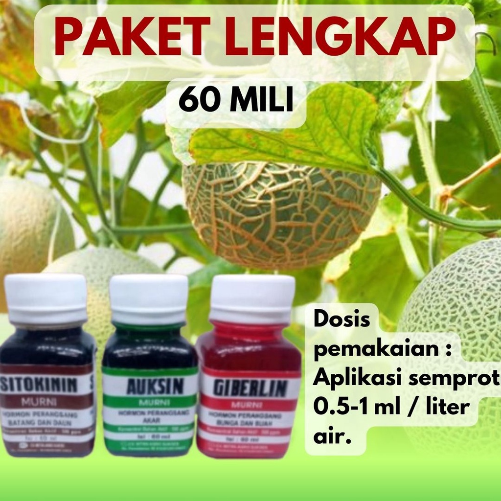 Paket Lengkap Hormon zpt Auksin Giberelin / Giberlin Sitokinin