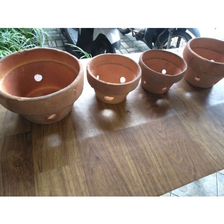 pot anggrek tanah liat ukuran 15cm