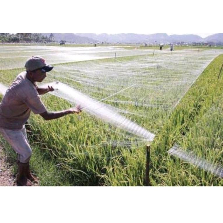 SALE Jaring burung sawah lebar 7,5m panjang 100yds jaring burung pipit jaring burung emprit jaring b