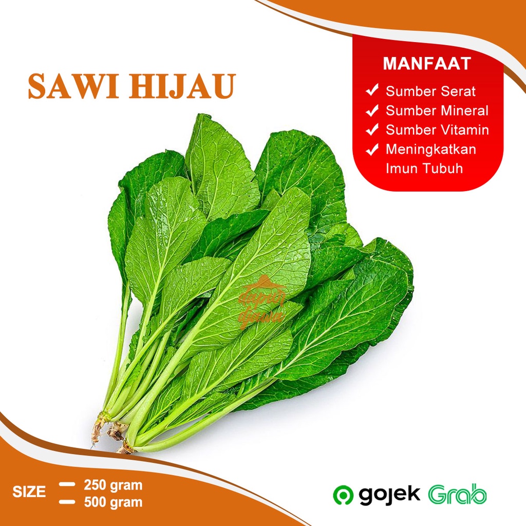 SAYUR SAYURAN SAWI HIJAU MAKANAN SEGAR FRESH SEHAT BEKU KERING KEMASAN BOX