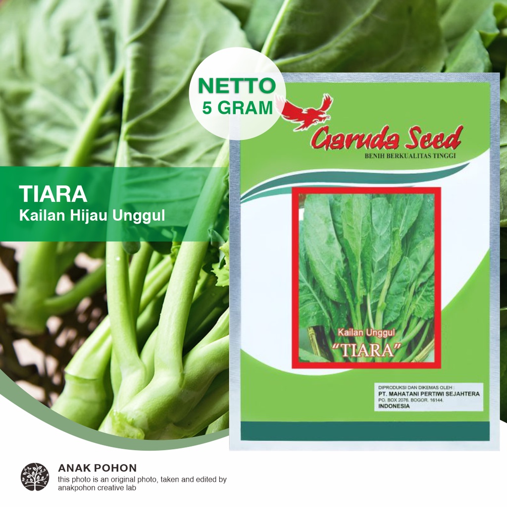 (1 PACK) Benih Kailan Hijau Unggul TIARA Seeds - Garuda Seed - 5 GRAM