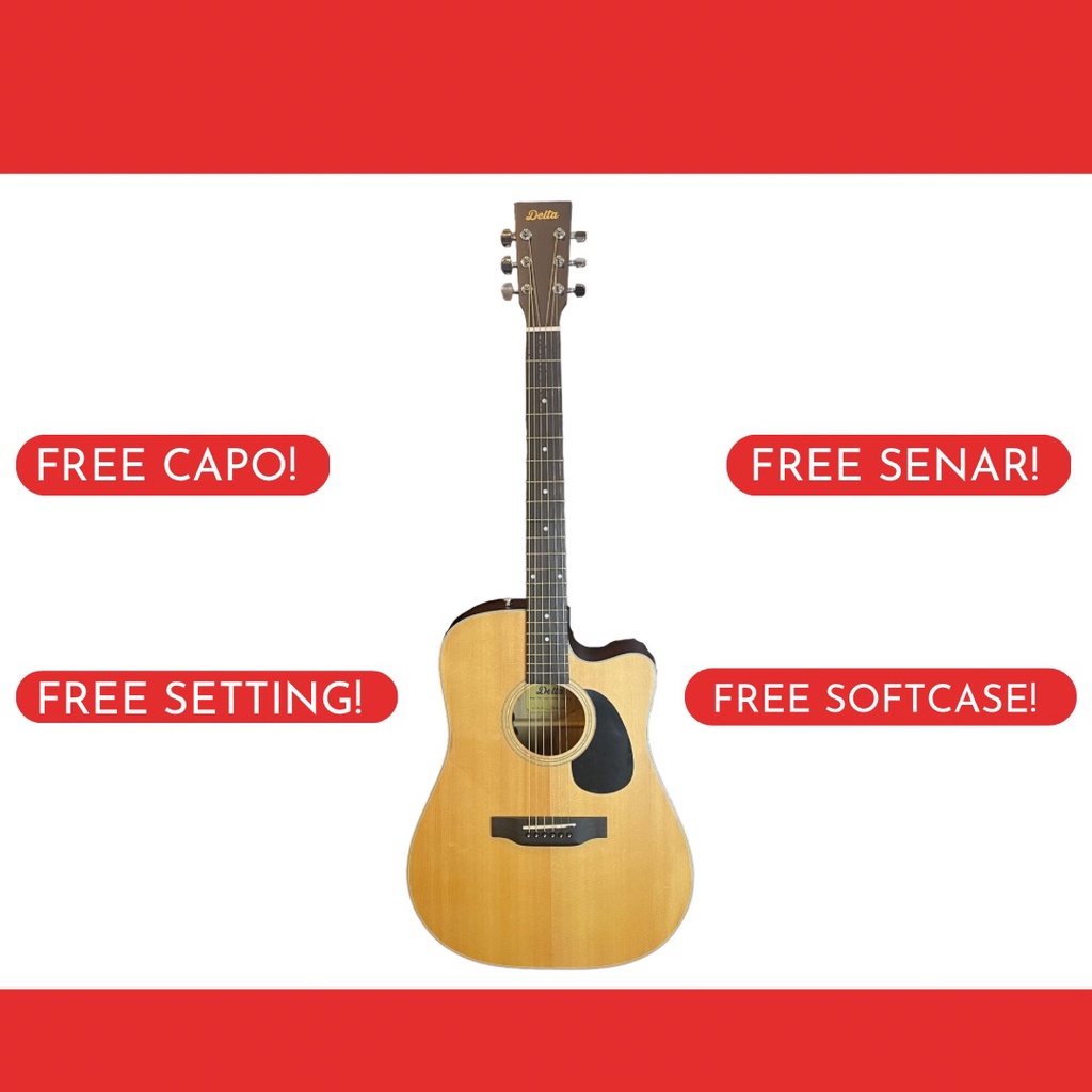 Gitar Akustik Elektrik Delta DD 300 CE Fishman GT1