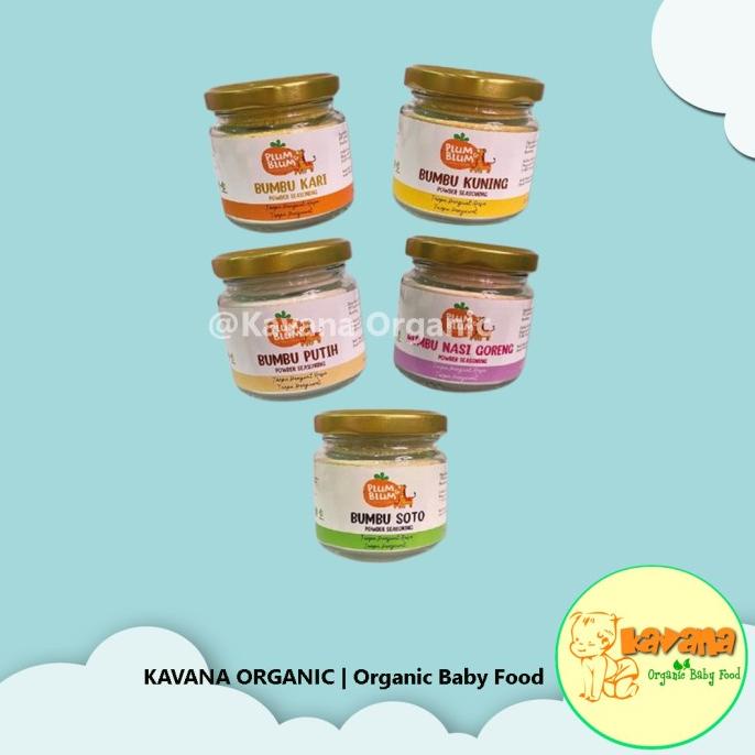 

&<&<&<&] Bumbu Powder By PlumandBlum