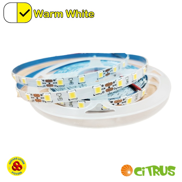 Citrus LED Strip 5054 Warm White IP33 12V Flexible Strip Kuning 5 Meter