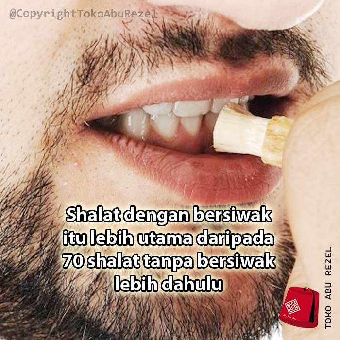 Siwak Miswak Merk Al Khair | Plus Holder | Made in Pakistan | Perawatan Gigi Natural | Siwak Premium