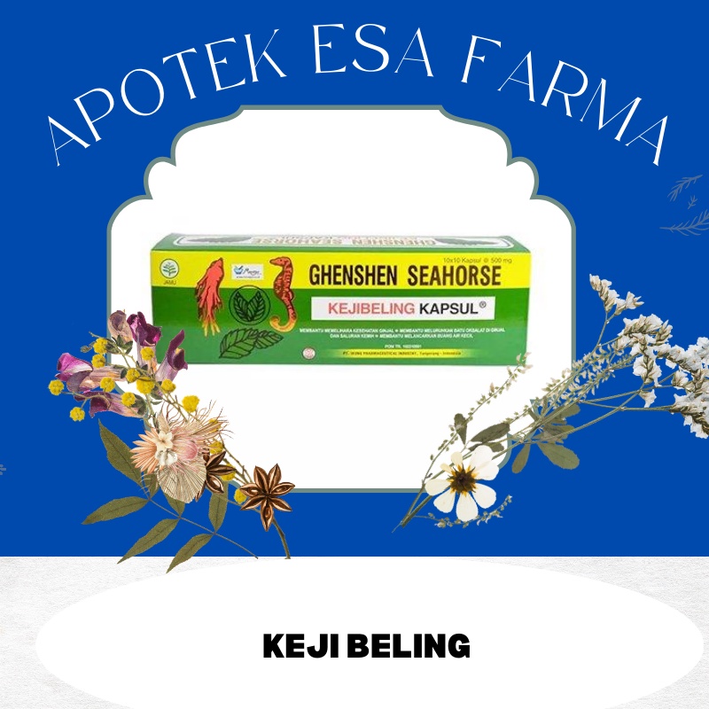KEJI BELING OBAT BATU GINJAL, KANDUNG KEMIH