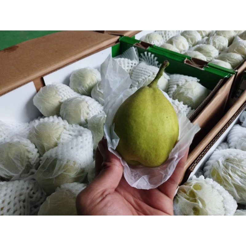 

PEAR XIANG LIE 1kg.