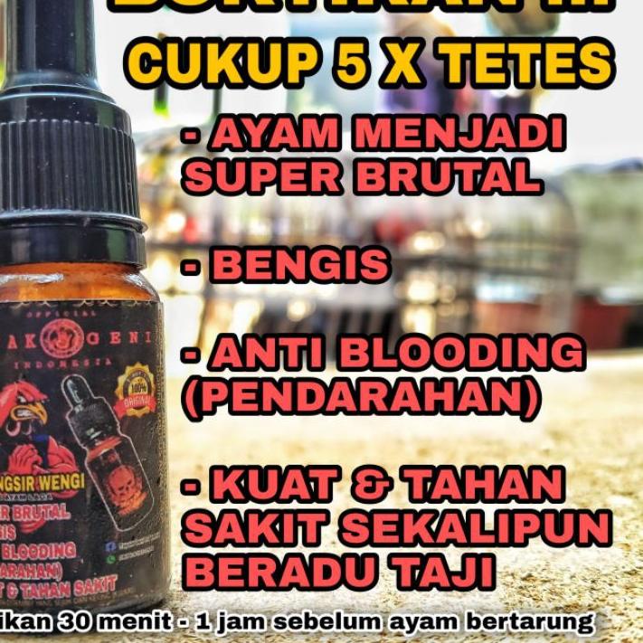 ✶ Doping Ayam Laga ATP-Lingsir Wengi ☀