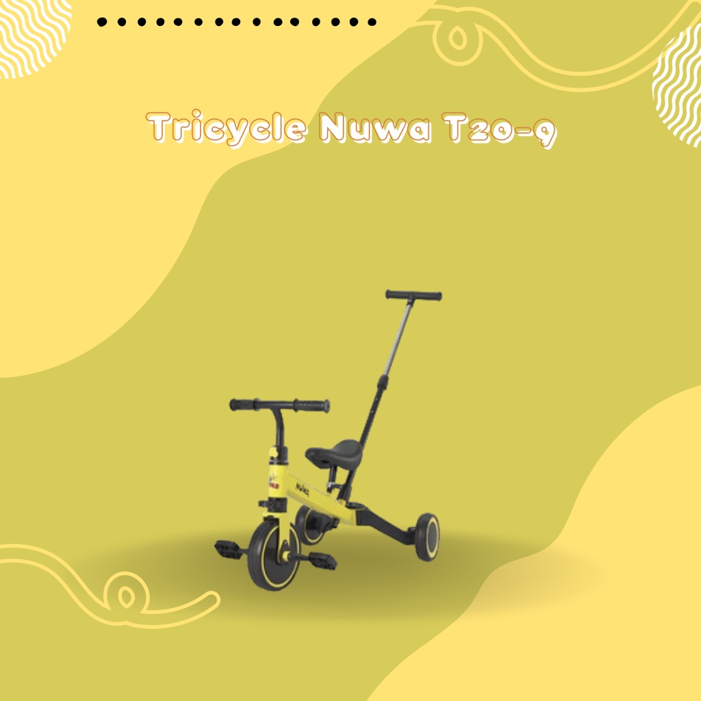 Sepeda Tricycle PMB NUWA T20-9