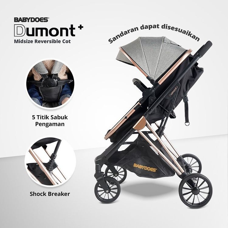 Stroller Kereta Dorong Bayi BabyDoes CH 4143 Dumont+ Reversible Seat