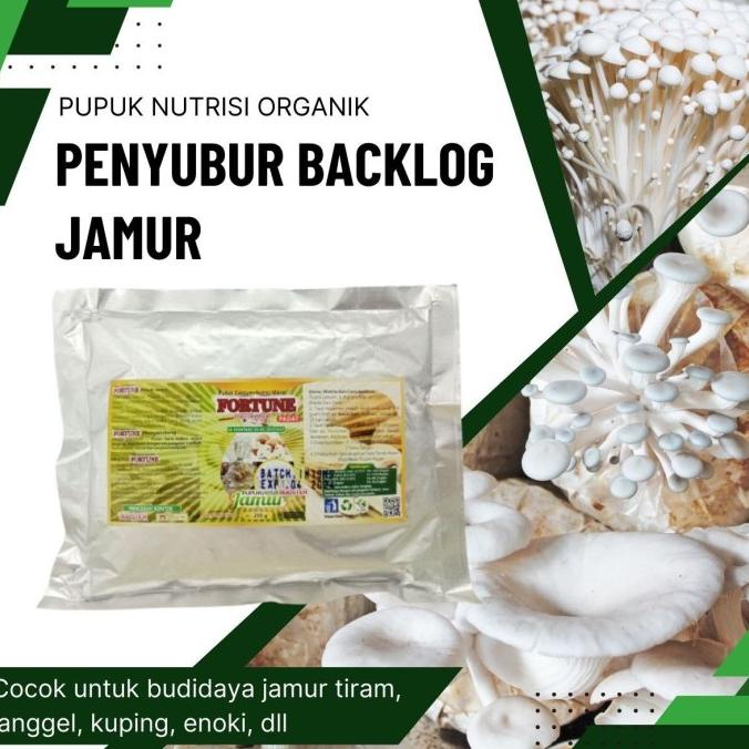 

Pupuk Jamur Tiram Organik, Nutrisi Penyubur Backlog Jamur Tiram Kuping Sepesialis Pupuk Organik