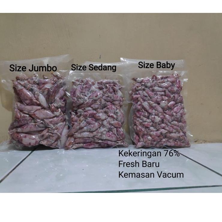 

>D2289) ⭐⭐⭐⭐⭐ Sotong / Cumi / Cumi Asin / Cumi Rebus 500 Gram Size Jumbo|Sedang|Baby