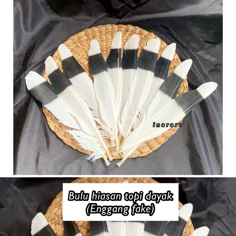 ORNAMEN BULU TARI DAYAK