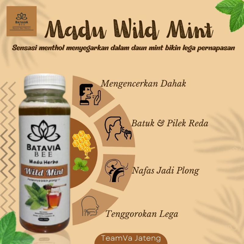 

Wild Mint Batavia Bee