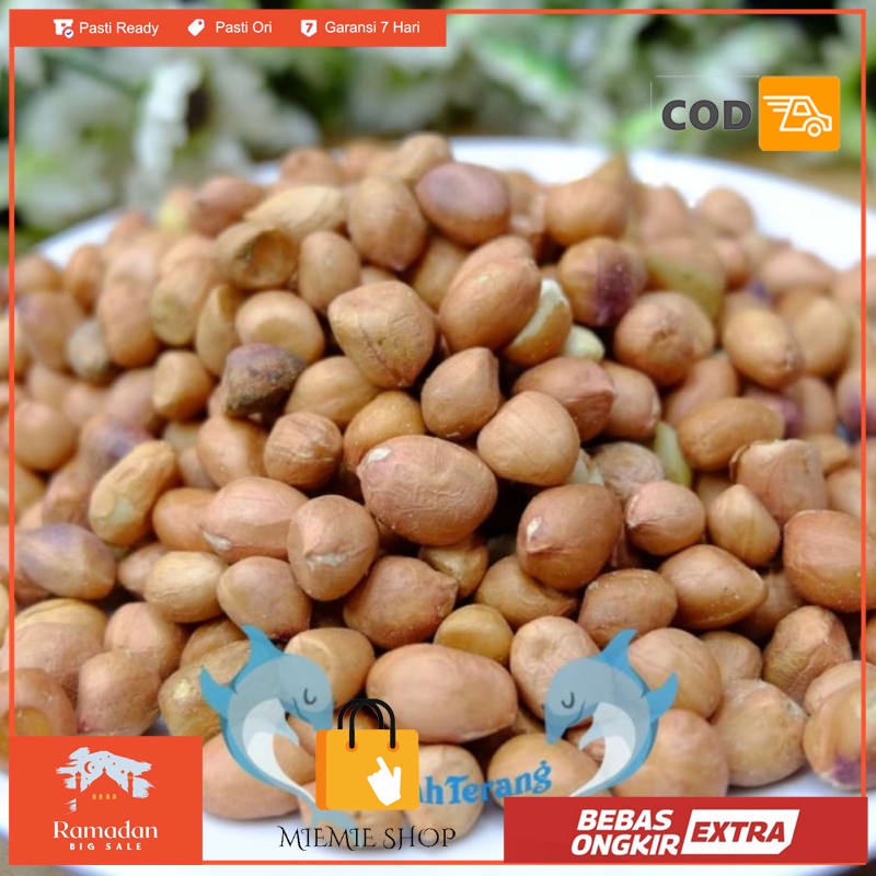 

kacang Tanah Tuban Super 1kg - KULIT