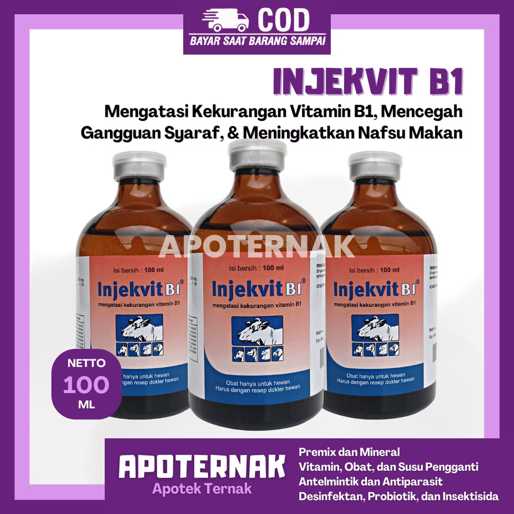 INJEKVIT B1 100 mL | Mengatasi Kekurangan Vitamin B1 Pada Sapi Kerbau Kuda Kambing Domba Ayam Anjing Kucing Hewan Ternak | Vitamin B1