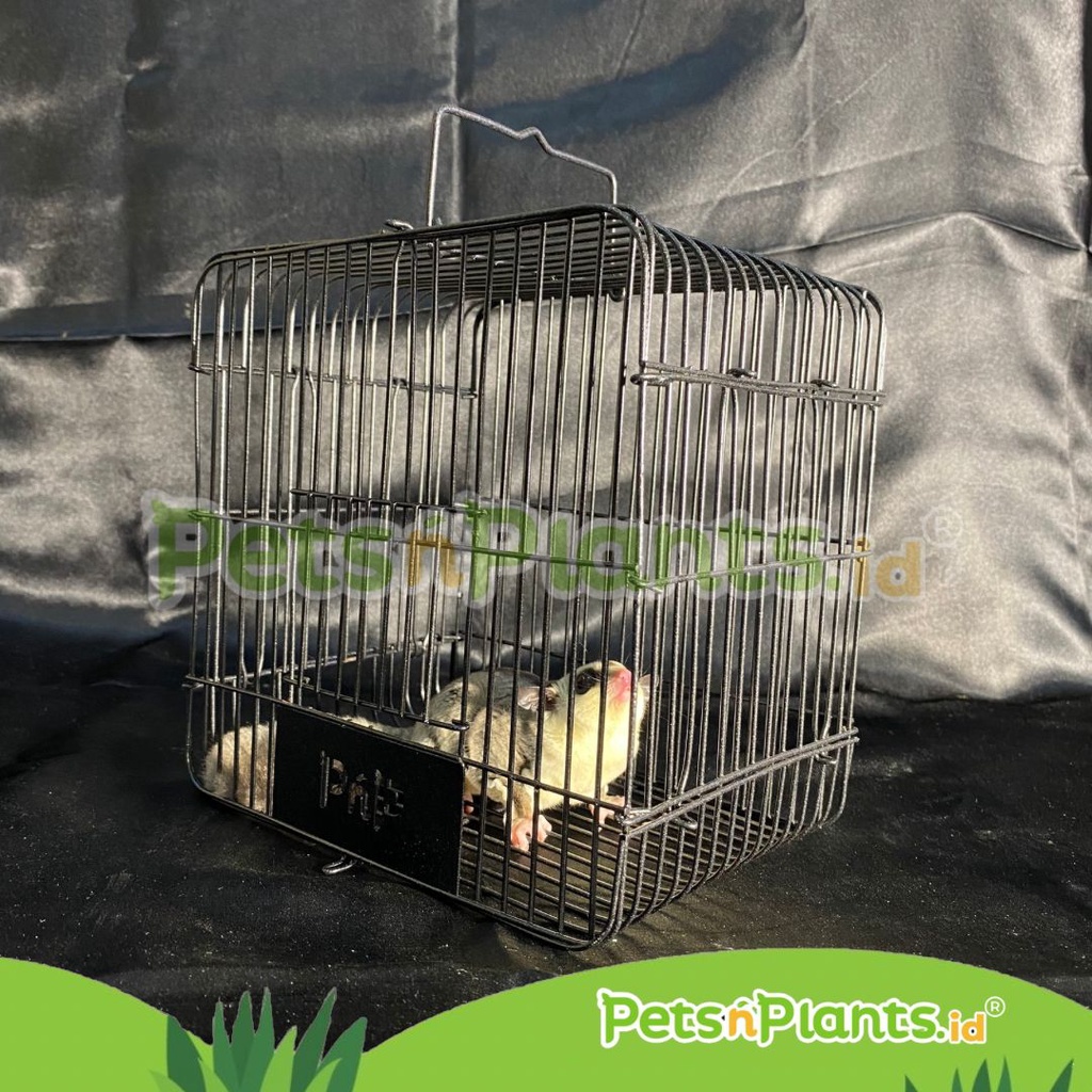 PnP Kandang Besi Hamster Sugar Glider 21x21x15 cm