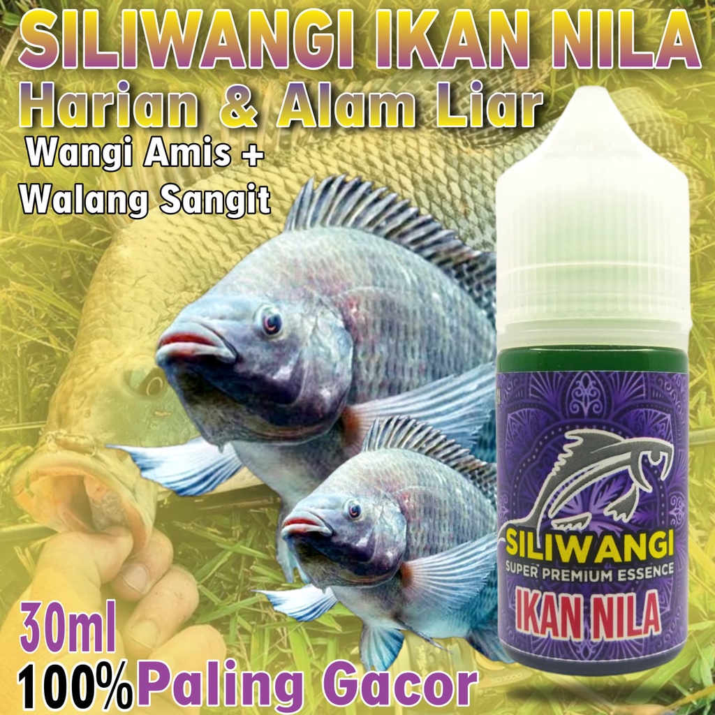 Essen Ikan Nila Paling Gacor Media Umpan Lumut, Essen Ikan Nila Paling Ampuh