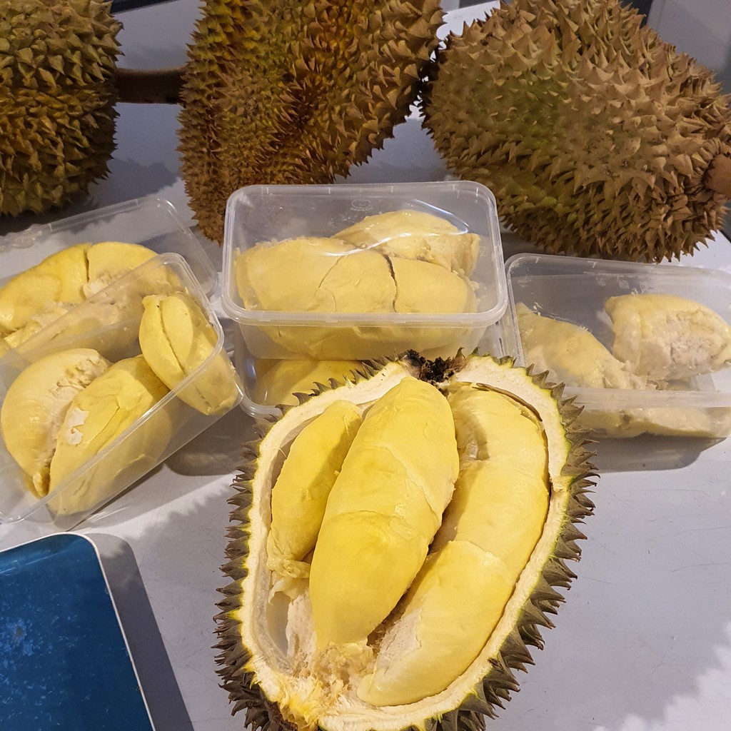 

Durian Montong Super Premium Monthong Promo Sale