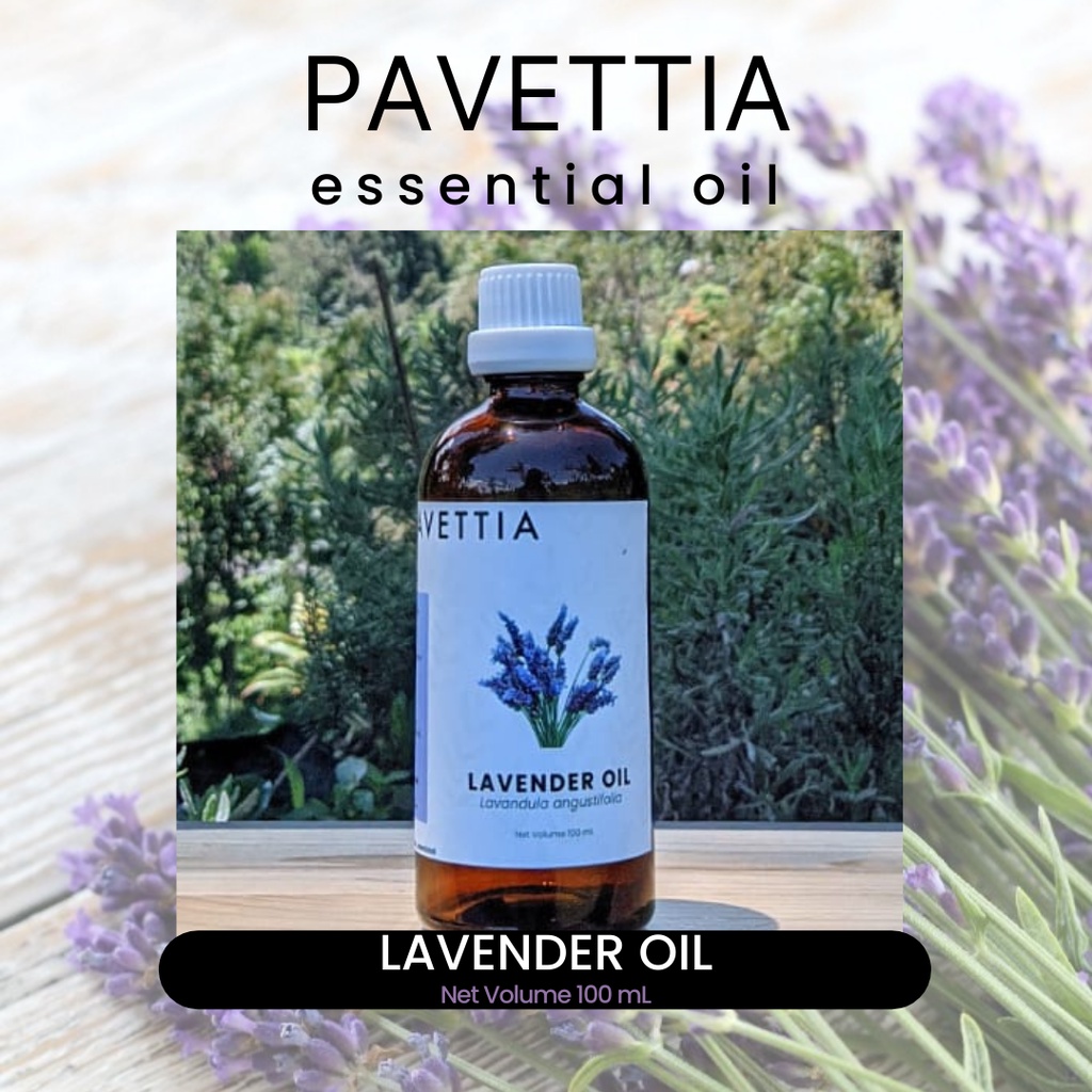 Jual 100 Ml - Lavender Essential Oil / Minyak Atsiri Bunga Lavender ...