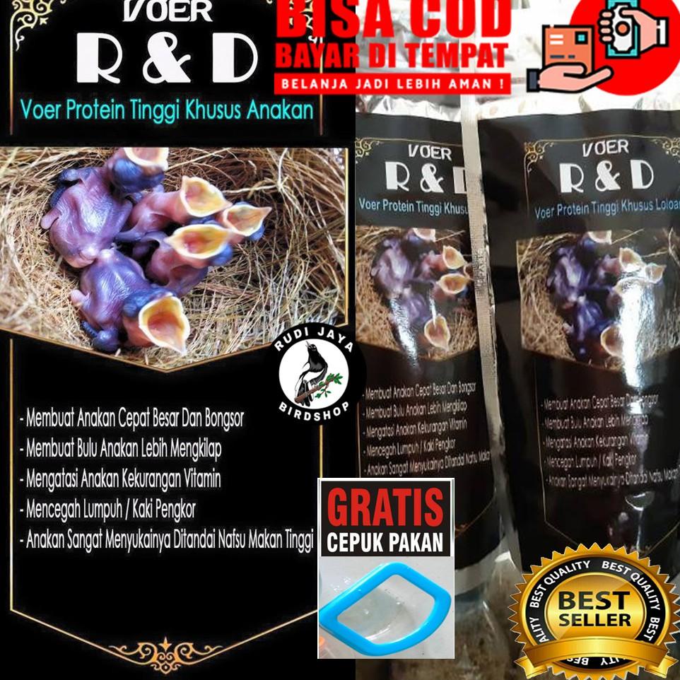 CHEKOUT R&D RND LOLOH PUR VOER PAKAN MAKANAN BURUNG LOLOHAN ANAKAN PIYIK SUAP BAYI ANAK MURAI KACER