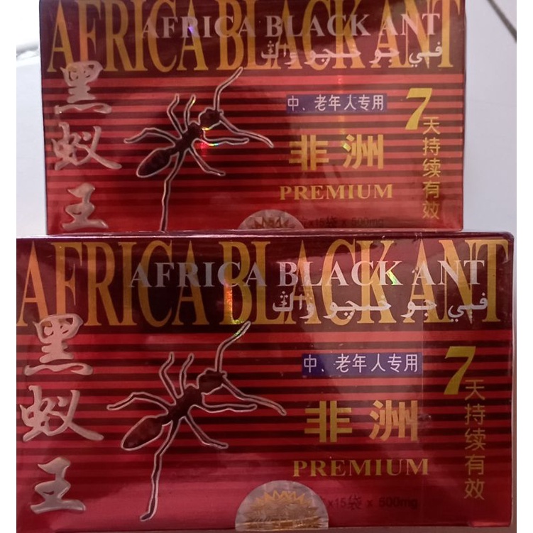 Africa Black Ant PREMIUM/Semut 15 ASLI ORIGINAL