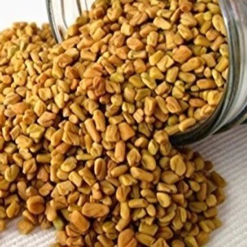

KLABET / FENUGREEK / METHI / HULBAH AMPUH