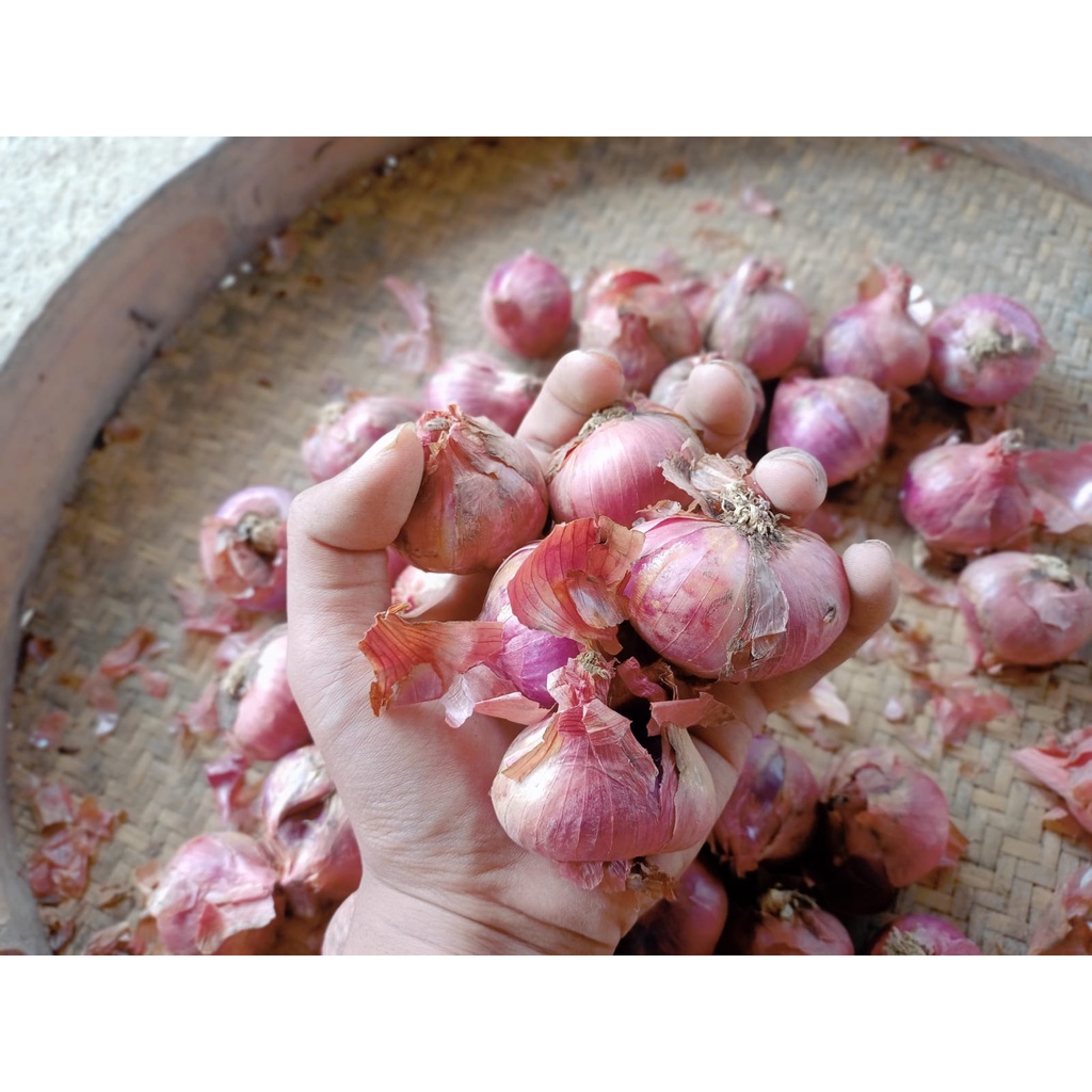 

Bawang Merah Besar Instant